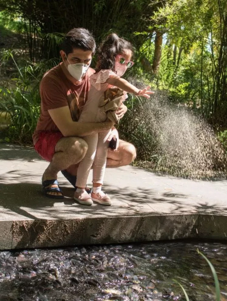 ¡Celebra el Día del Niño en Jardín Botánico Culiacán!