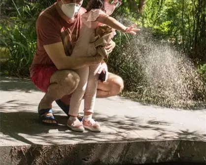 ¡Celebra el Día del Niño en Jardín Botánico Culiacán!