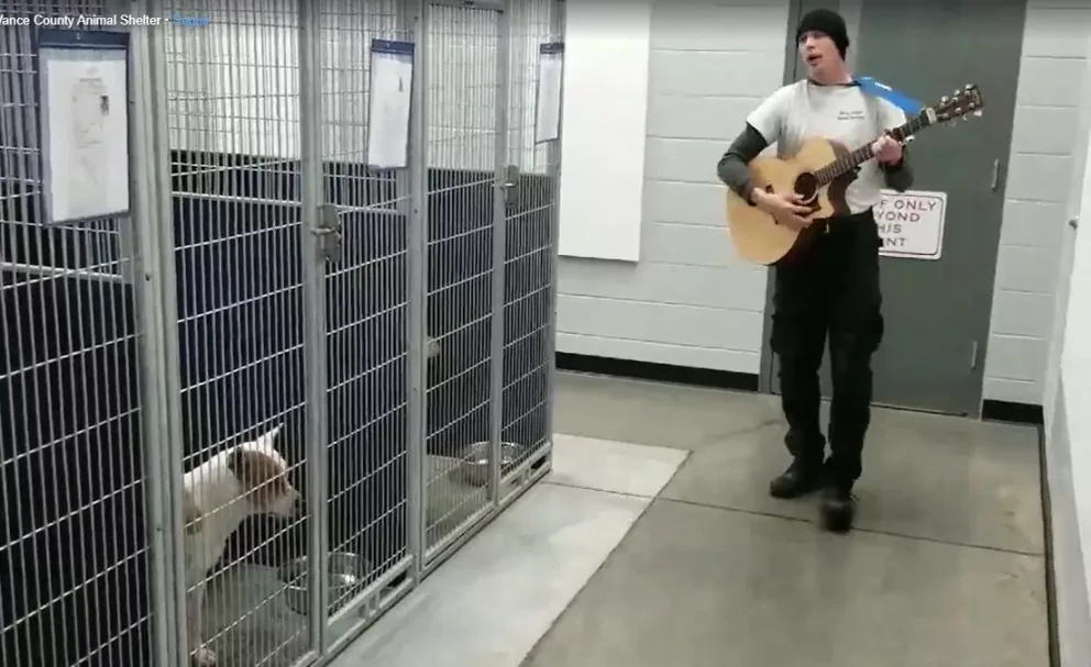 Lo más tierno que verán tus ojos. Hombre les canta a perros para que se calmen mientras esperan ser adoptados