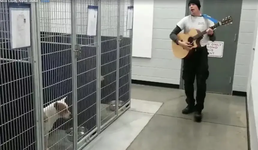 Lo más tierno que verán tus ojos. Hombre les canta a perros para que se calmen mientras esperan ser adoptados