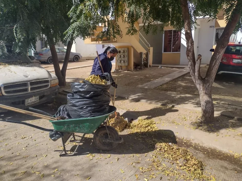 Mujeres trabajadoras de Alturas del Sur limpian las calles del sector.