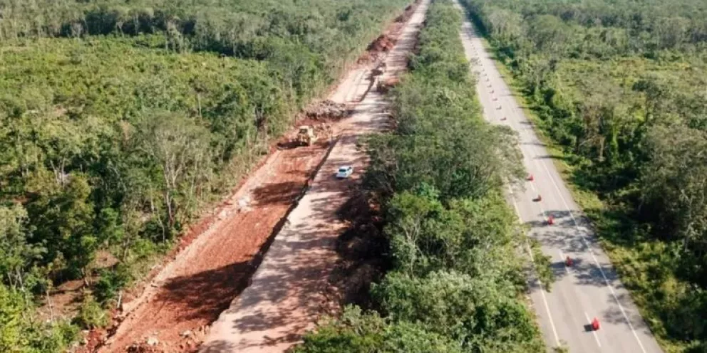 El Tren Maya y la reforestación