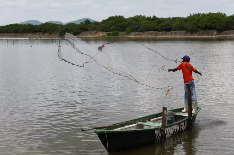 Bienpesca: Del 3 al 17 de mayo inicia verificación, estos son los requisitos