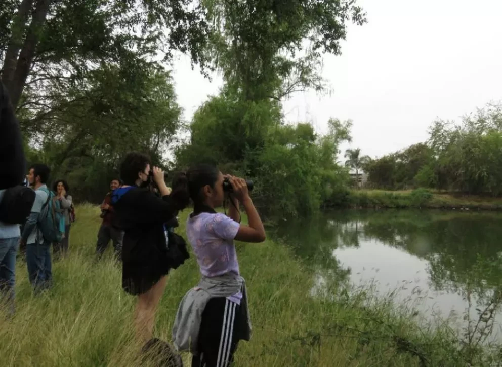 Culiacán, tercer lugar nacional en City Nature Challenge 2022