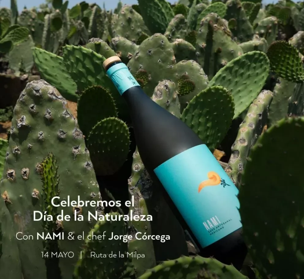 Nami celebra a la naturaleza uniéndose al Midori No Hi