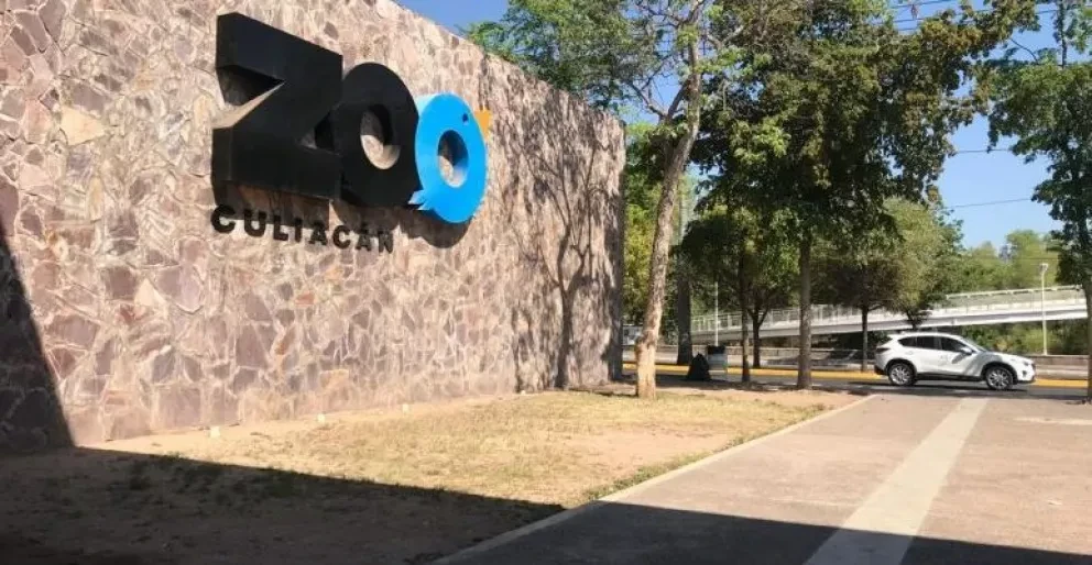 ¡A reciclar se ha dicho en el 13vo. Reciclón en Culiacán!