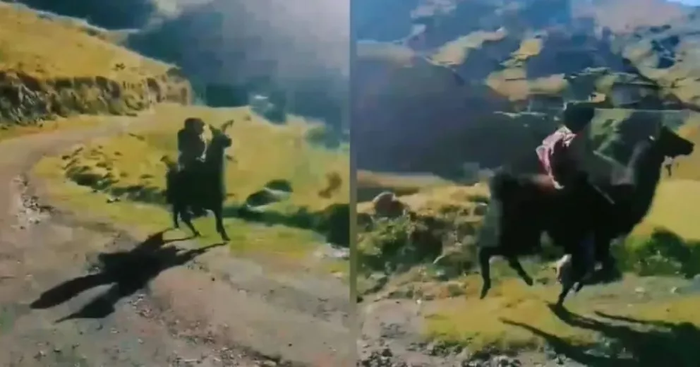 La hermosa historia del niño que va a la escuela a toda velocidad en una llama.