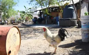 A Daniel y María del Carmen los alcanzó el urbanismo a orilla de casa