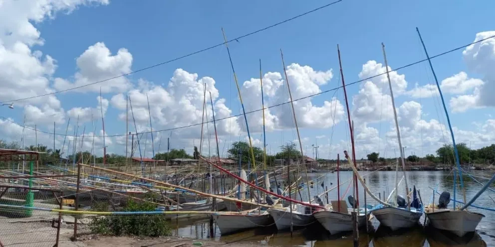 Realizarán baile con Causa para la comunidad de Las Puentes