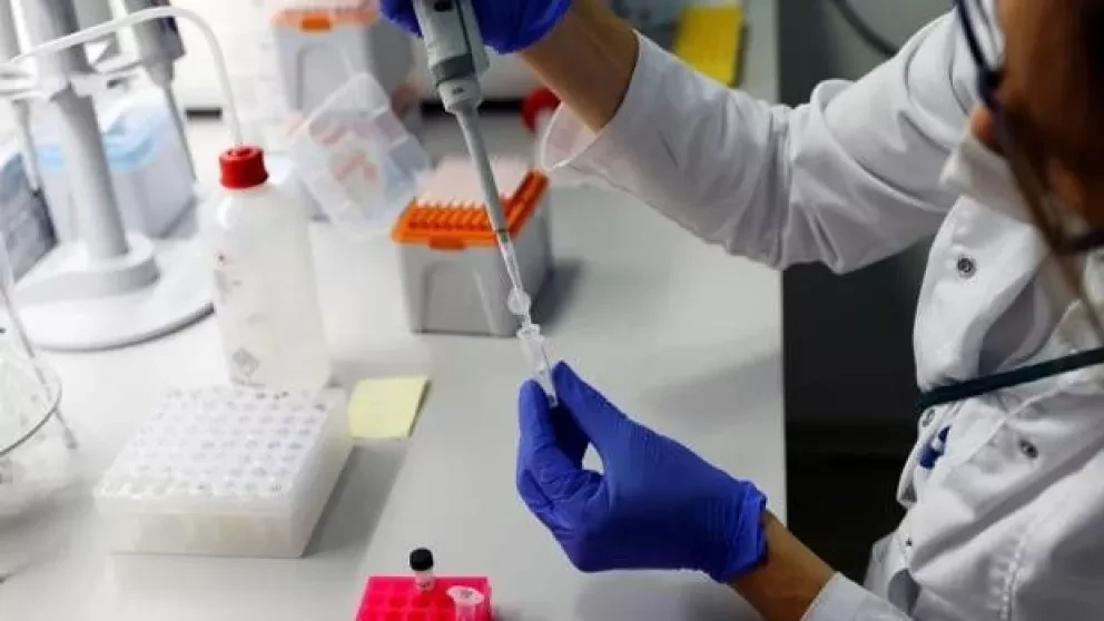 La cura del cáncer podría estar cerca. Foto: Cortesía/ Temática