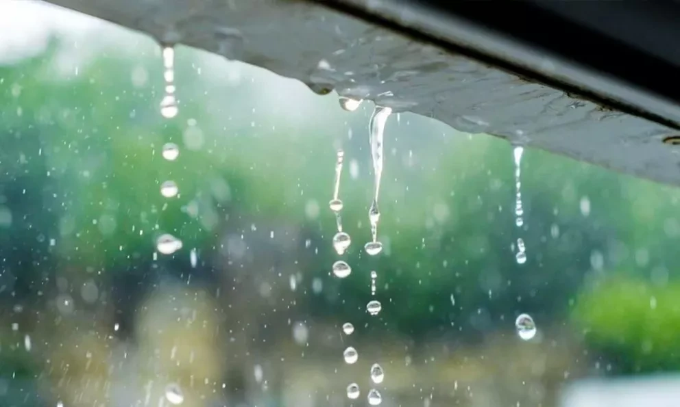 Pronóstico del clima hoy 12 de julio de 2022; se esperan lluvias por la tarde-noche