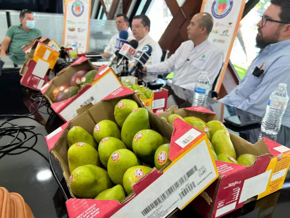 ¡Qué Mangazo! Invitan a degustar más de 30 mil productos a base de mango en Ahome