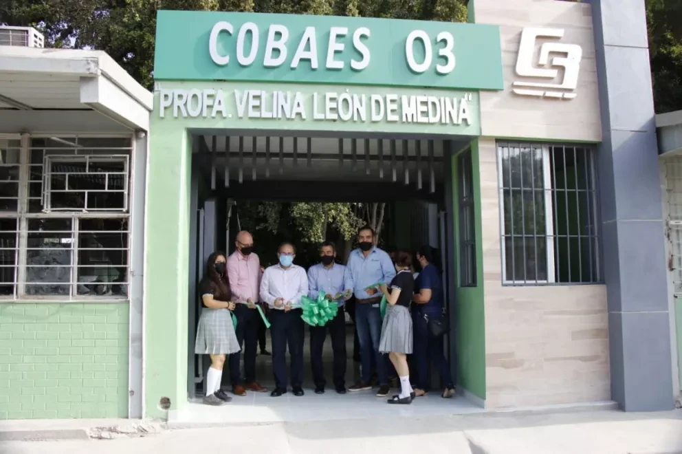 Cobaes. Foto: TEMÁTICA/Cortesía