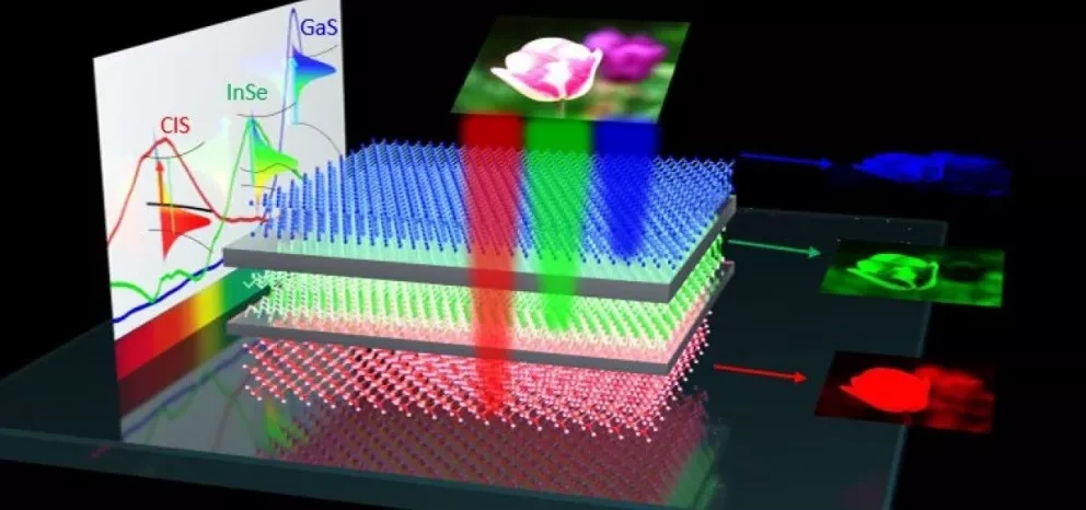 Ojo electrónico que permite ver a color, prometedor aliado para personas con discapacidad visual