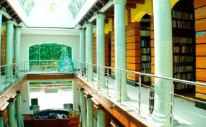 La primera biblioteca ecológica de Latinoamérica está en México 