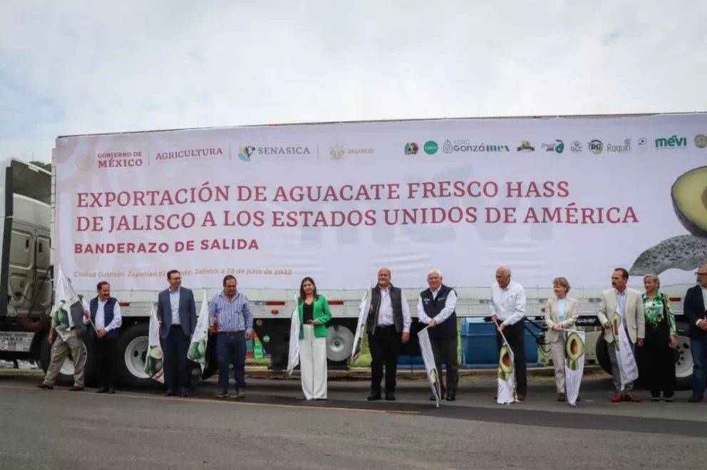 Jalisco se convierte en el segundo estado en exportar aguacate a Estados Unidos