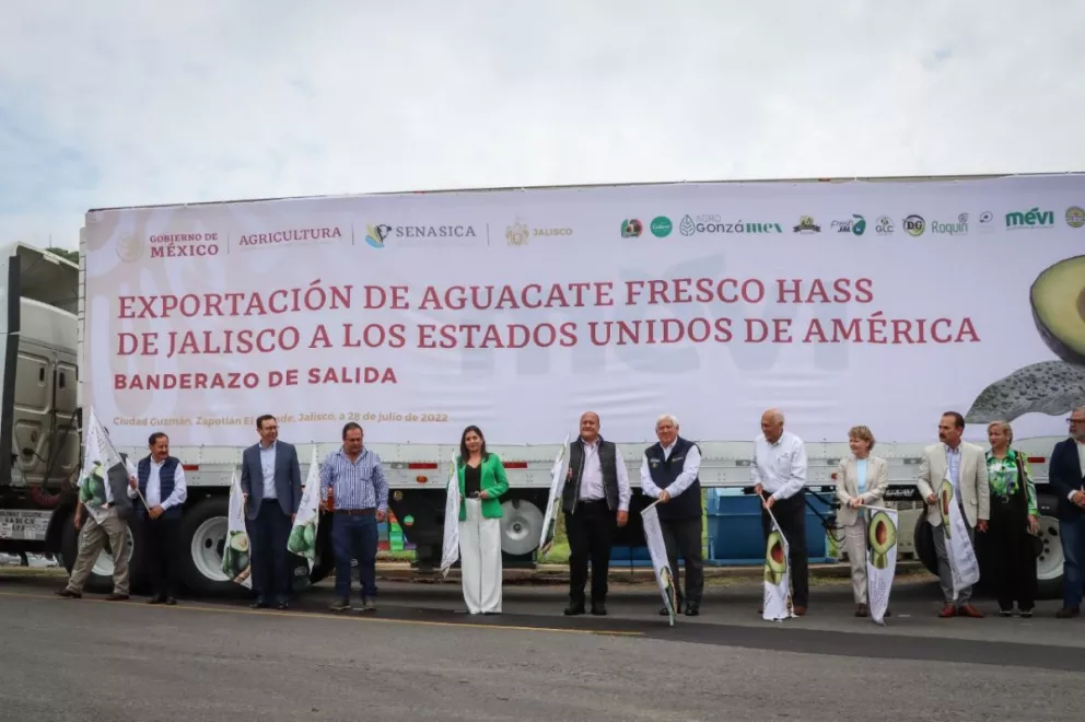 Jalisco se convierte en el segundo estado en exportar aguacate a Estados Unidos