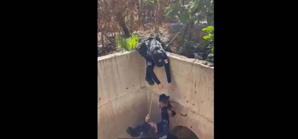 Policías de Eldorado, Sinaloa rescatan a perrito que llevaba dos días en un ducto de drenaje.