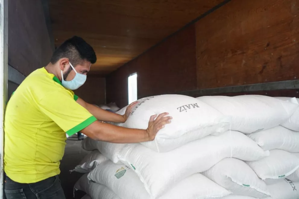 Segalmex distribuirá el kilo de tortillas a 6.50 pesos en tiendas Diconsa