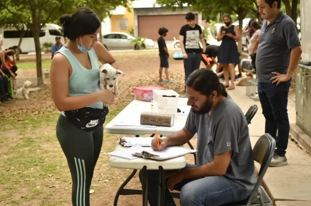 Se brindan los servicios de esterilización de perros y gatos en el fraccionamiento Santa Fe y la colonia Lomas del Humaya