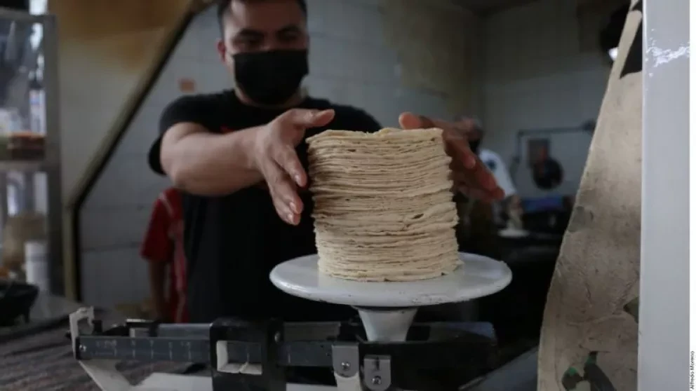 Tortillas Pirata: ¿Qué son y cómo identificarlas?