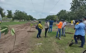  “Plantan Vida” en el bulevar Agricultores en Culiacán