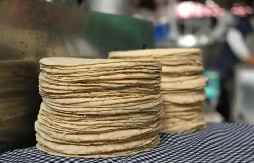 Sinaloa otorgará paneles solares y créditos blandos para reducir costo del kilo de tortilla