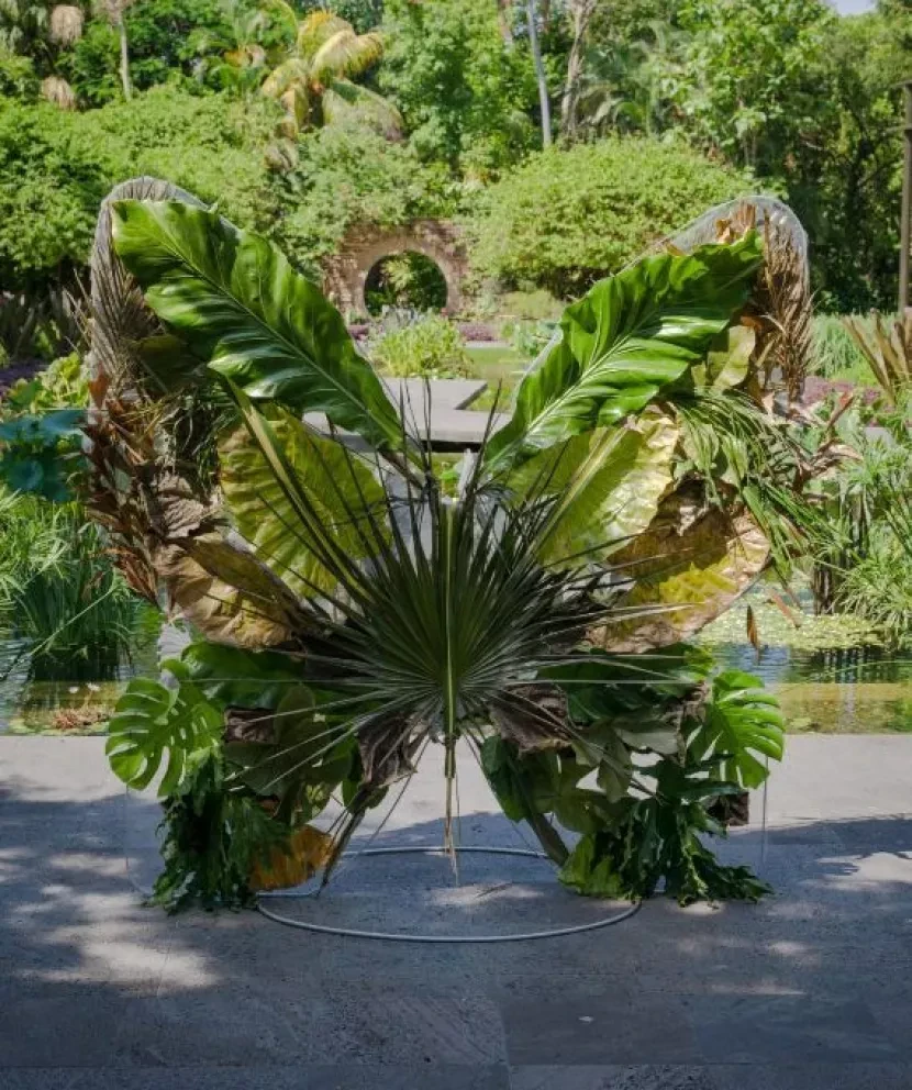 ¡Últimos días para disfrutar Verano en el Jardín!