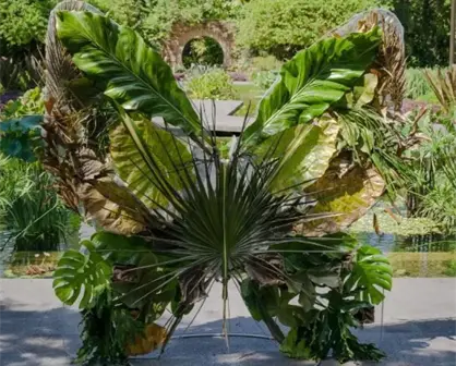 ¡Últimos días para disfrutar Verano en el Jardín!