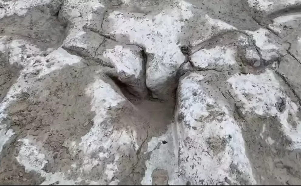 VIDEO: Descubren huellas de dinosaurios de hace 113 millones de años