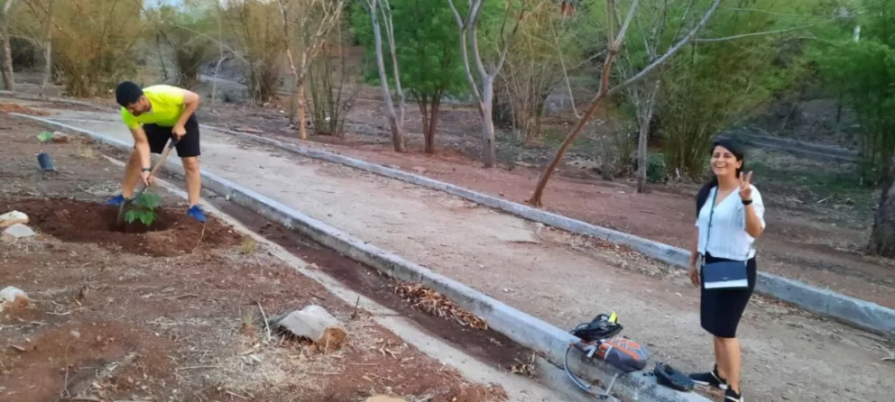 ¿Con calor? Únete a la Ruta Ambiental y planta un árbol, conoce cómo obtener uno gratis