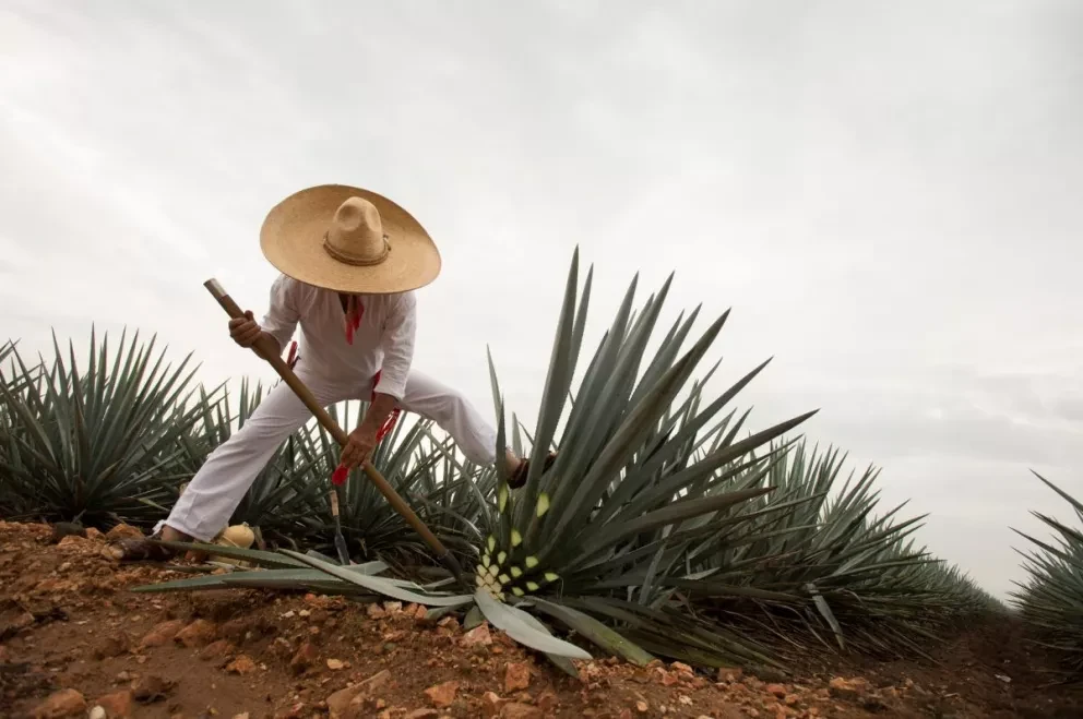 Lugares para visitar en Guadalajara, Jalisco.