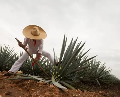 Lugares para visitar en Guadalajara, Jalisco 