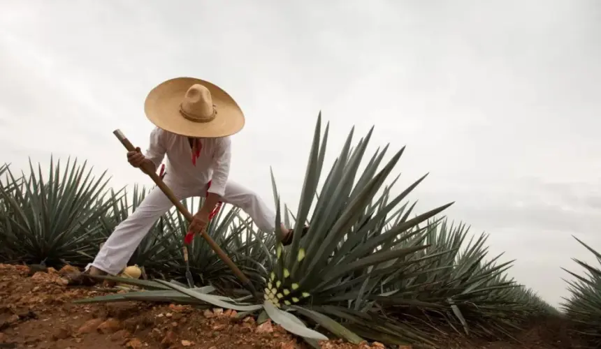 Lugares para visitar en Guadalajara, Jalisco.