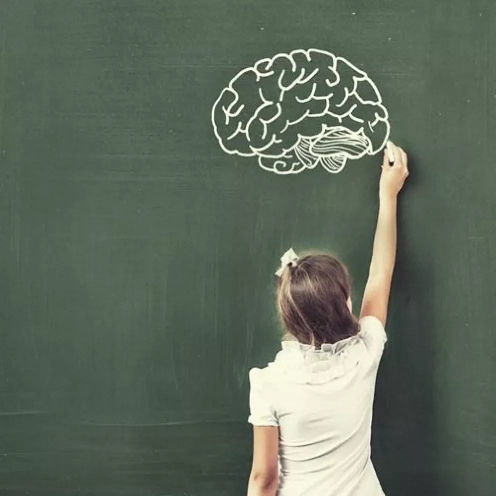 Tarea: ¿Cómo mantener la salud? Acciones para favorecer la salud. Funciones del cuerpo humano y su relación con el mantenimiento de la salud, el sistema nervioso