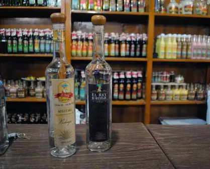 Beneficios del mezcal y el tequila tomándolo con moderación