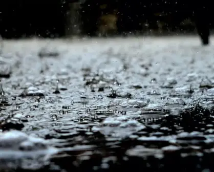 Ahorrar agua, tips para usar menos y aprovechar la de la lluvia