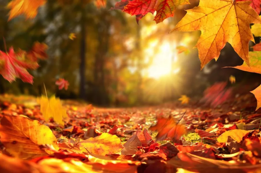 Equinoccio de otoño: ¿Qué es y cuándo llegará a México?