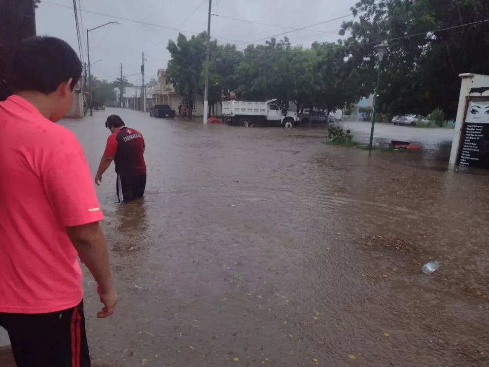 Tu vida es lo más importante, No cruces zonas inundadas