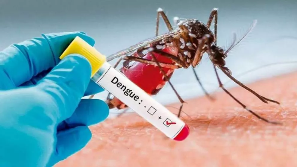 Cuídate del Dengue, un mosquito puede causar mucho daño