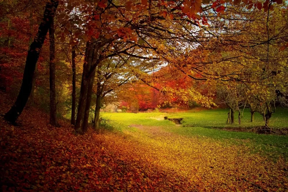 Cuándo empieza y termina el equinoccio de otoño, te contamos en qué consiste y su duración
