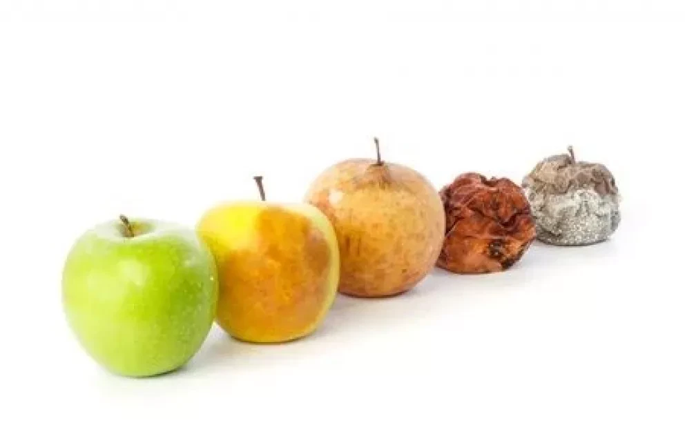 Tarea: Las características de los materiales. ¿La masa se conserva?