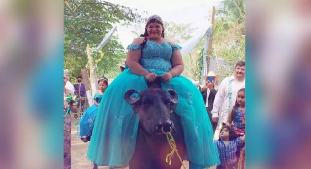 Bárbara Monserrat llega montada en un búfalo a su fiesta de quince años.
