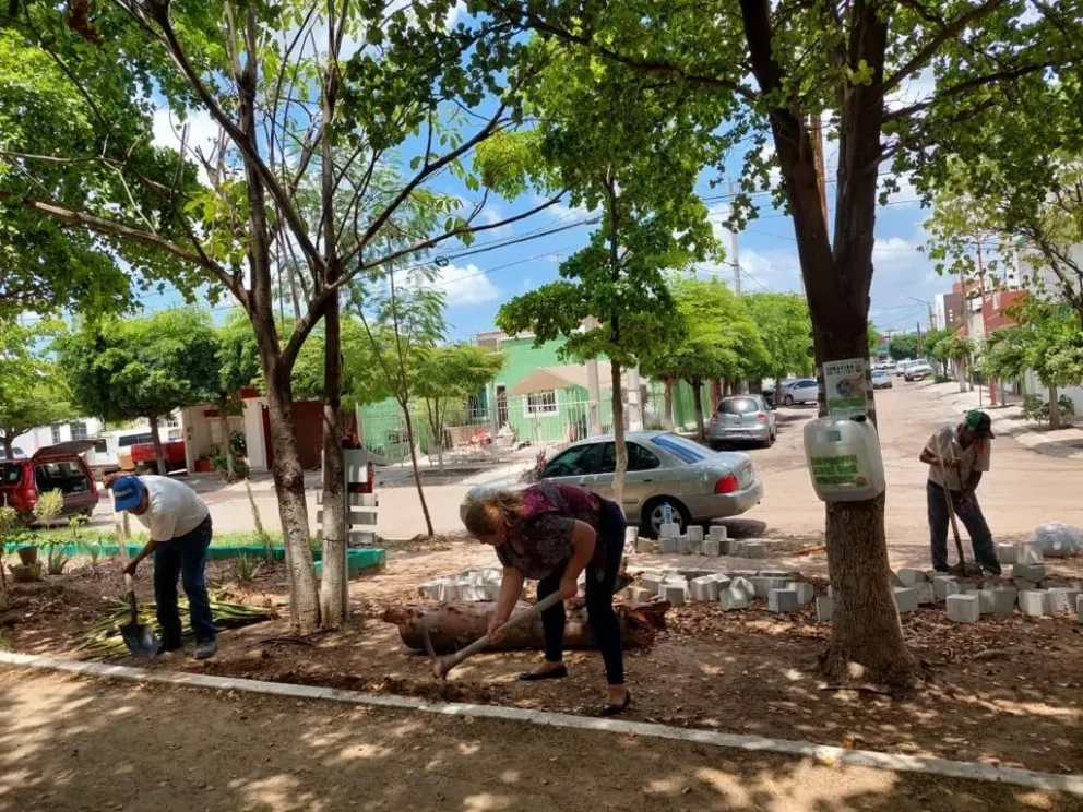 Programa Áreas verdes completas