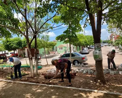 Programa Áreas verdes completas