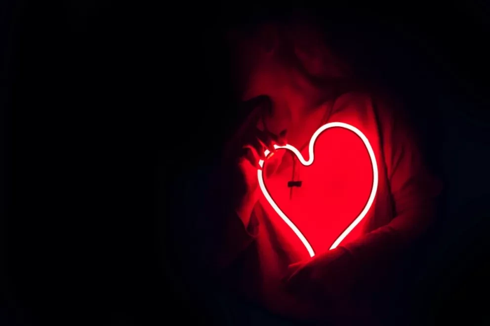Día Mundial del Corazón ¿Por qué se celebra y cómo puedo apoyar. Foto: DESIGNECOLOGIST
