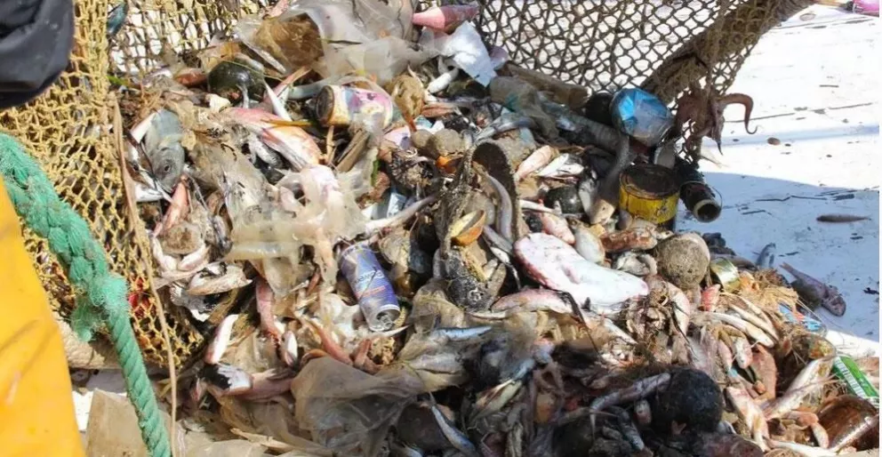 ¡Saca la caña y pesca el plástico de la Bahía Santa María!