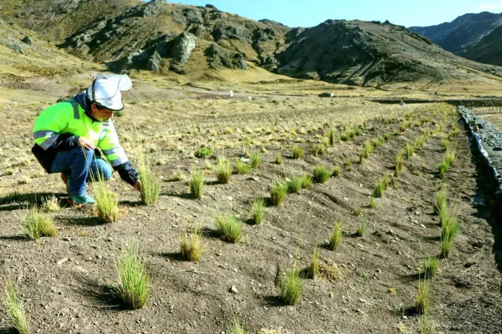 Tarea: Estequiometría, rapidez química y periodicidad. La química en el cuidado del medio ambiente