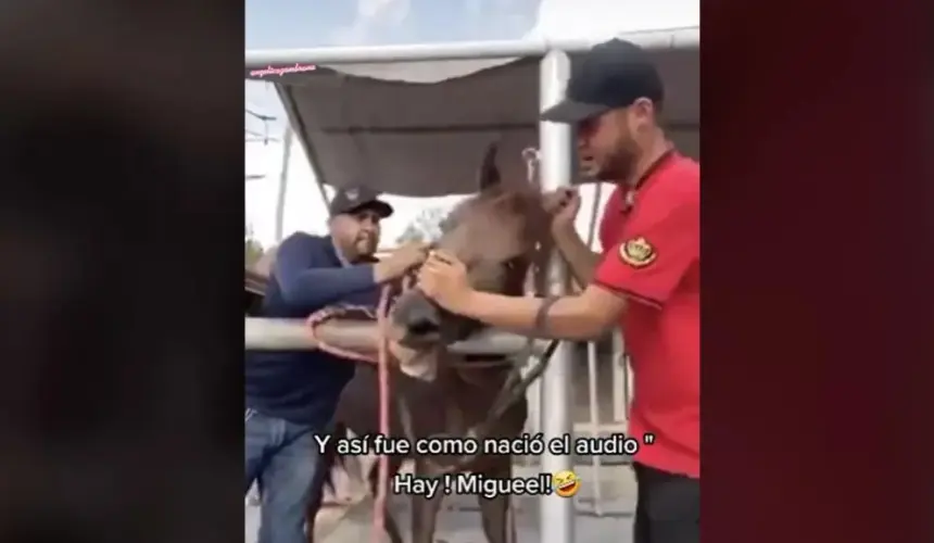 Ay Miguel, así surgió el famoso y viral audio de TikTok, te explicamos el contexto.