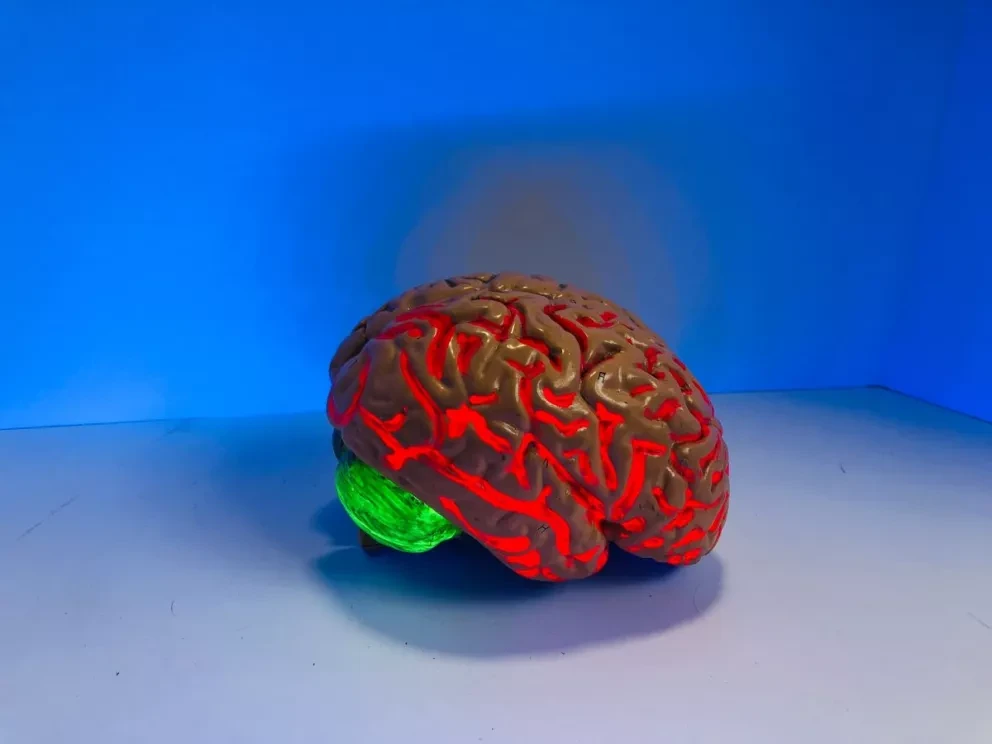 Por qué el Alzheimer afecta más a las mujeres que a los hombres.